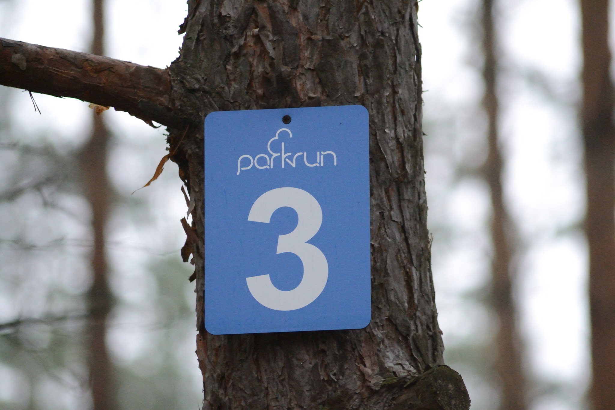 Turniej 4 Parkrunów część I 